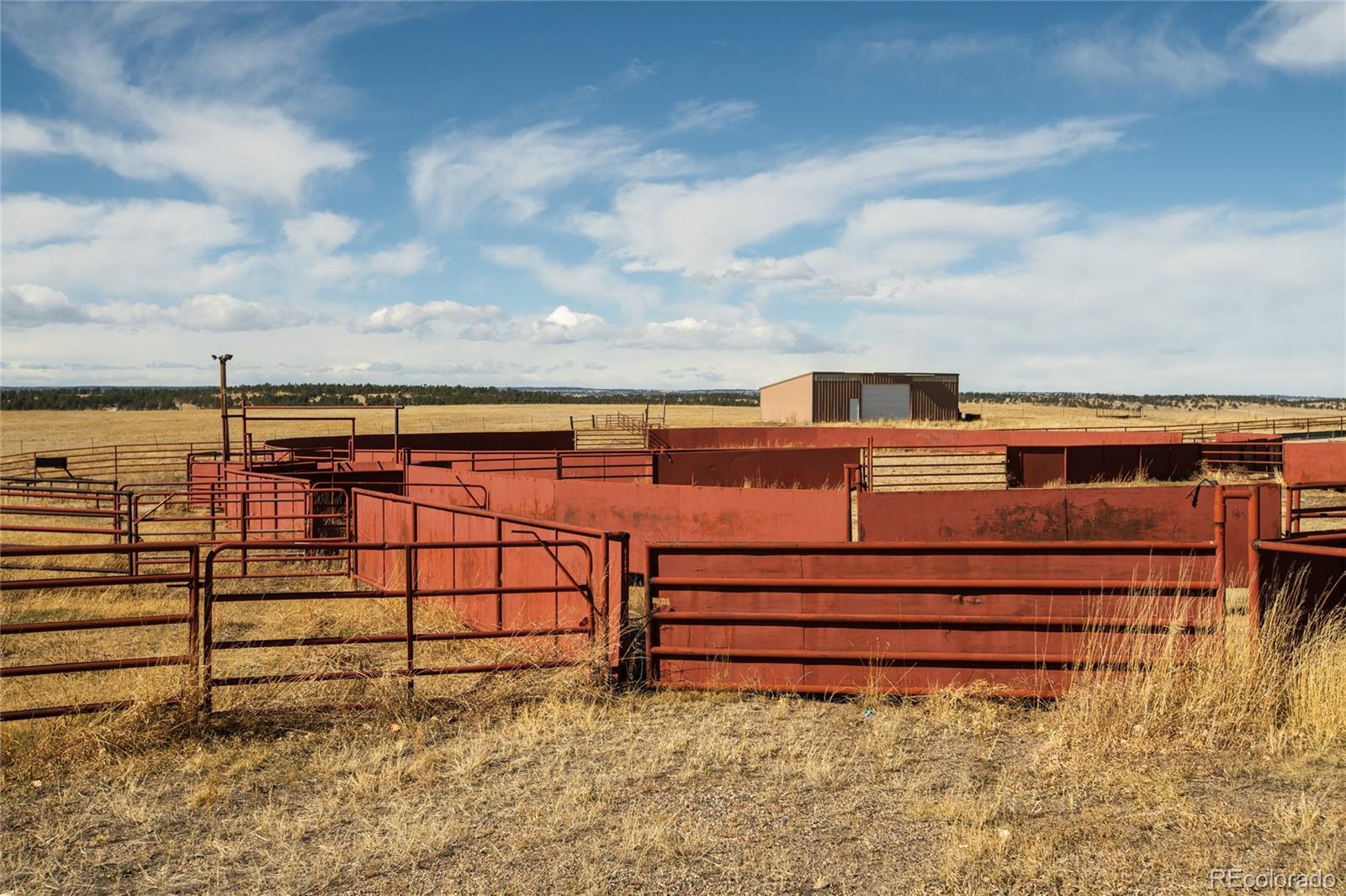 MLS Image #39 for 24063  county road 122 ,ramah, Colorado