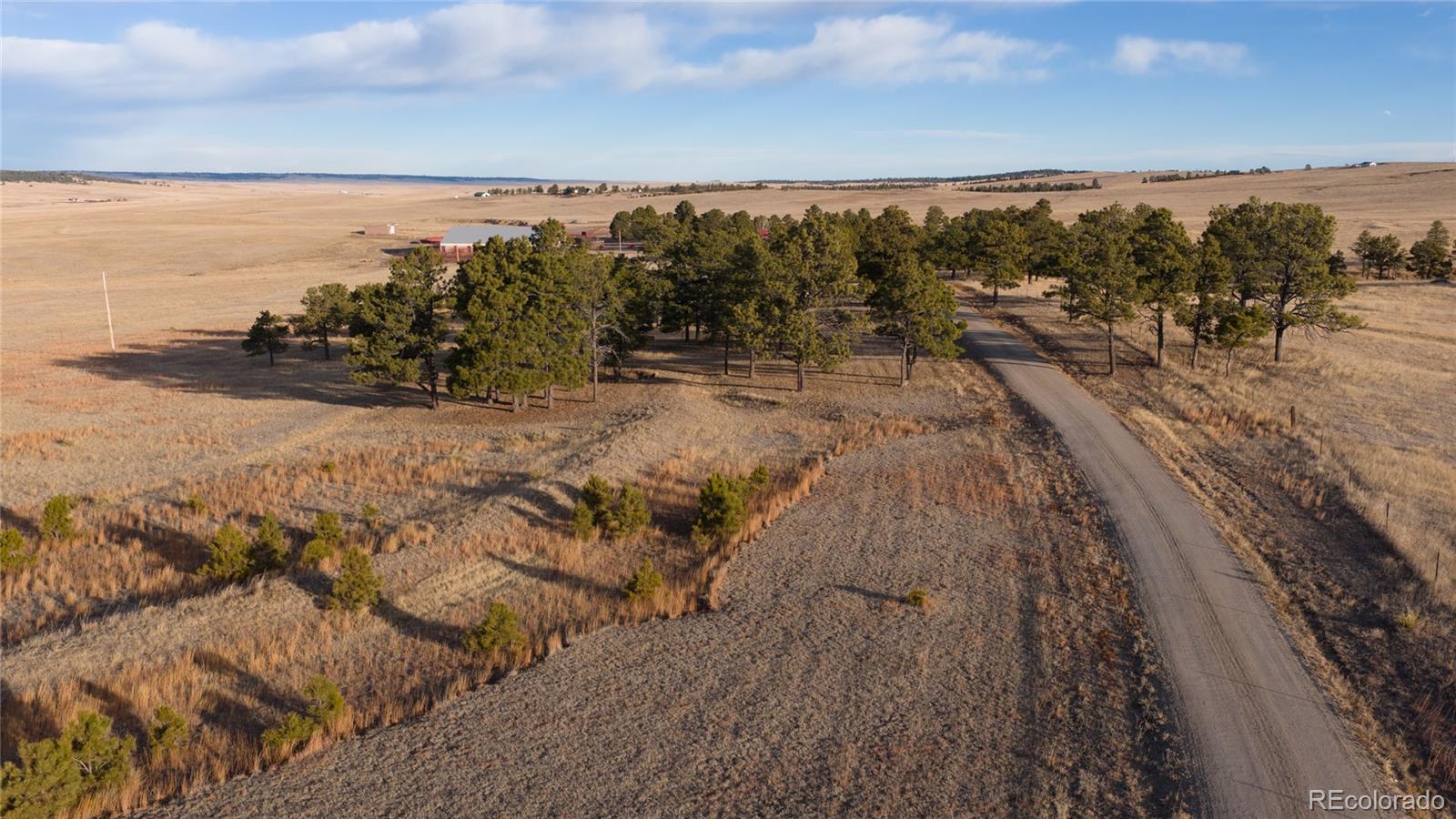 MLS Image #4 for 24063  county road 122 ,ramah, Colorado