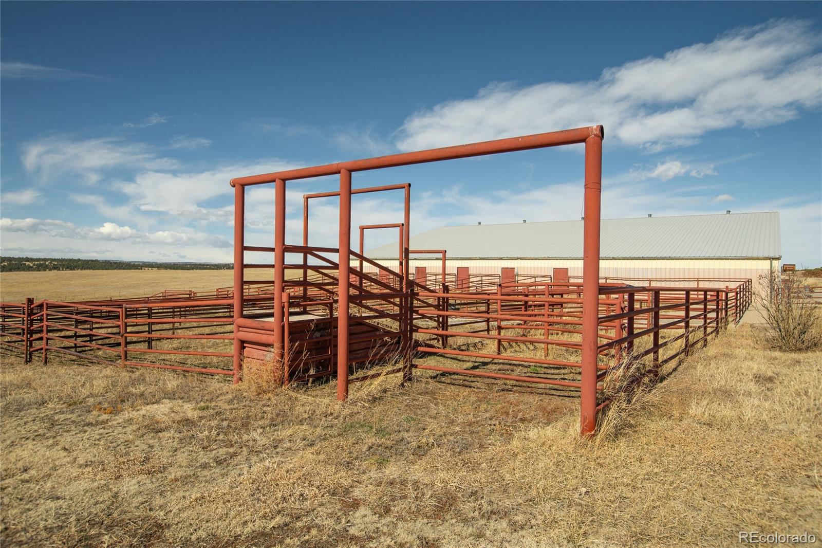 MLS Image #41 for 24063  county road 122 ,ramah, Colorado