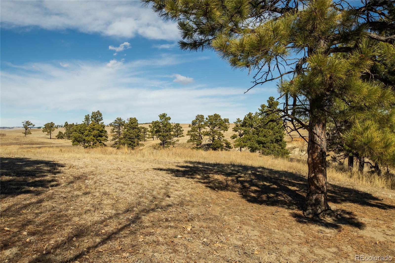 MLS Image #44 for 24063  county road 122 ,ramah, Colorado