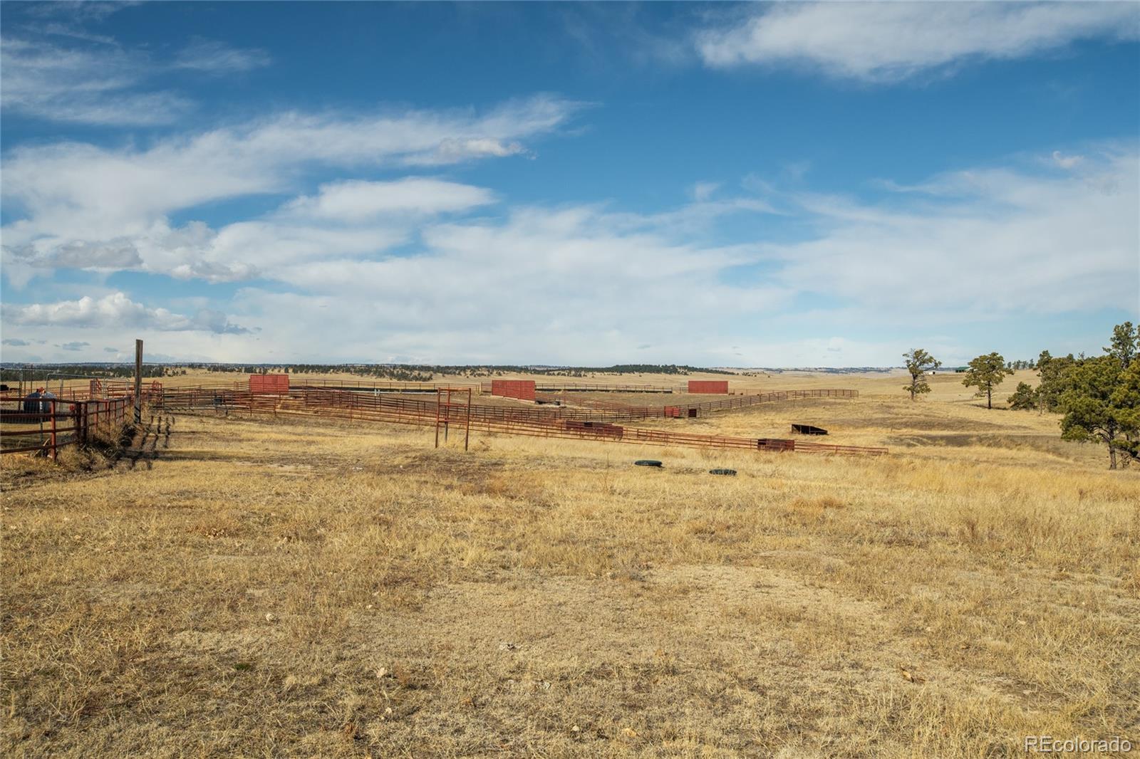 MLS Image #45 for 24063  county road 122 ,ramah, Colorado