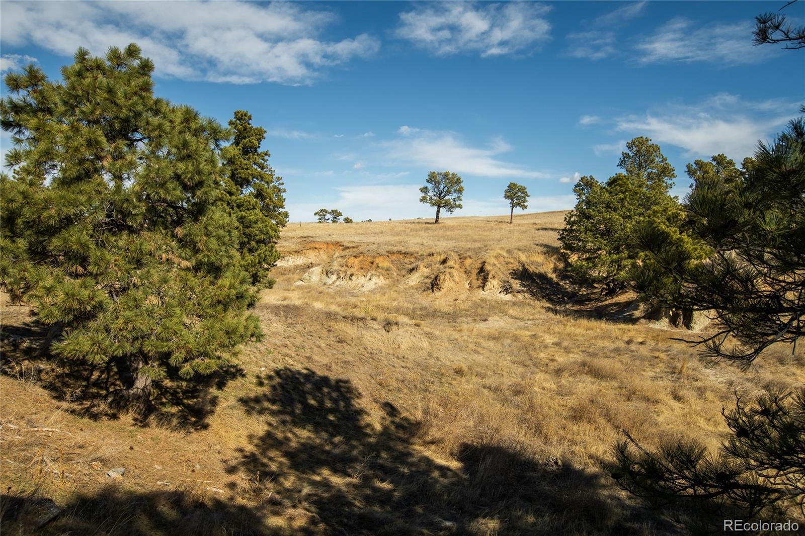 MLS Image #46 for 24063  county road 122 ,ramah, Colorado