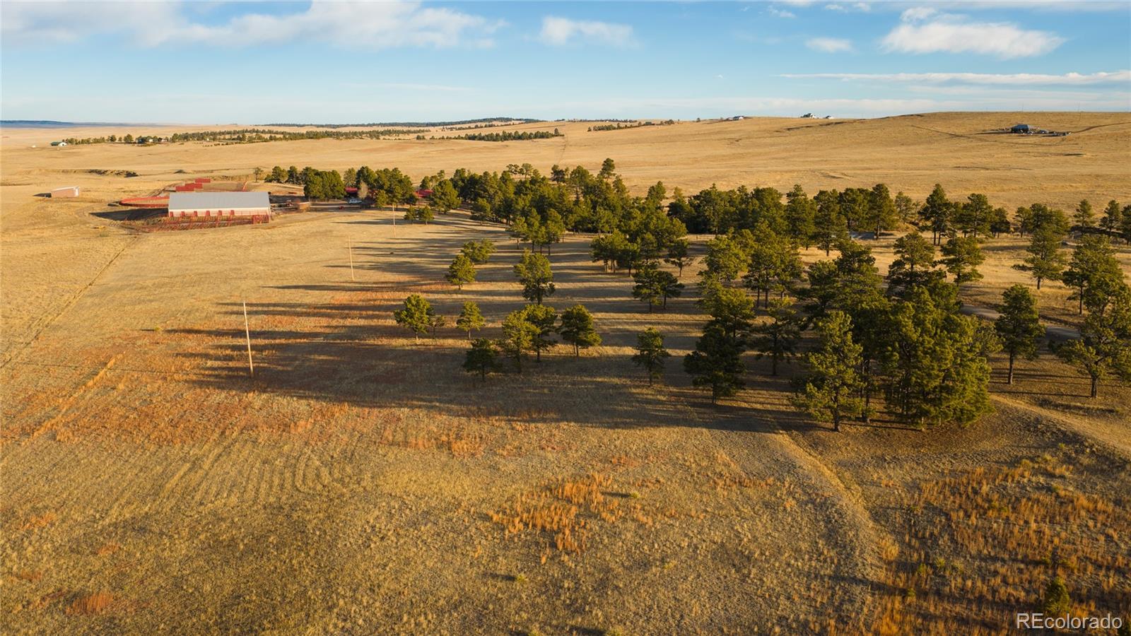 MLS Image #5 for 24063  county road 122 ,ramah, Colorado