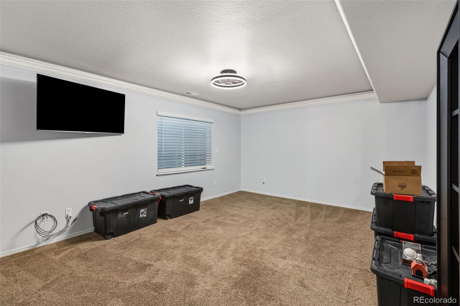 MLS Image #33 for 8856  country creek trail,colorado springs, Colorado