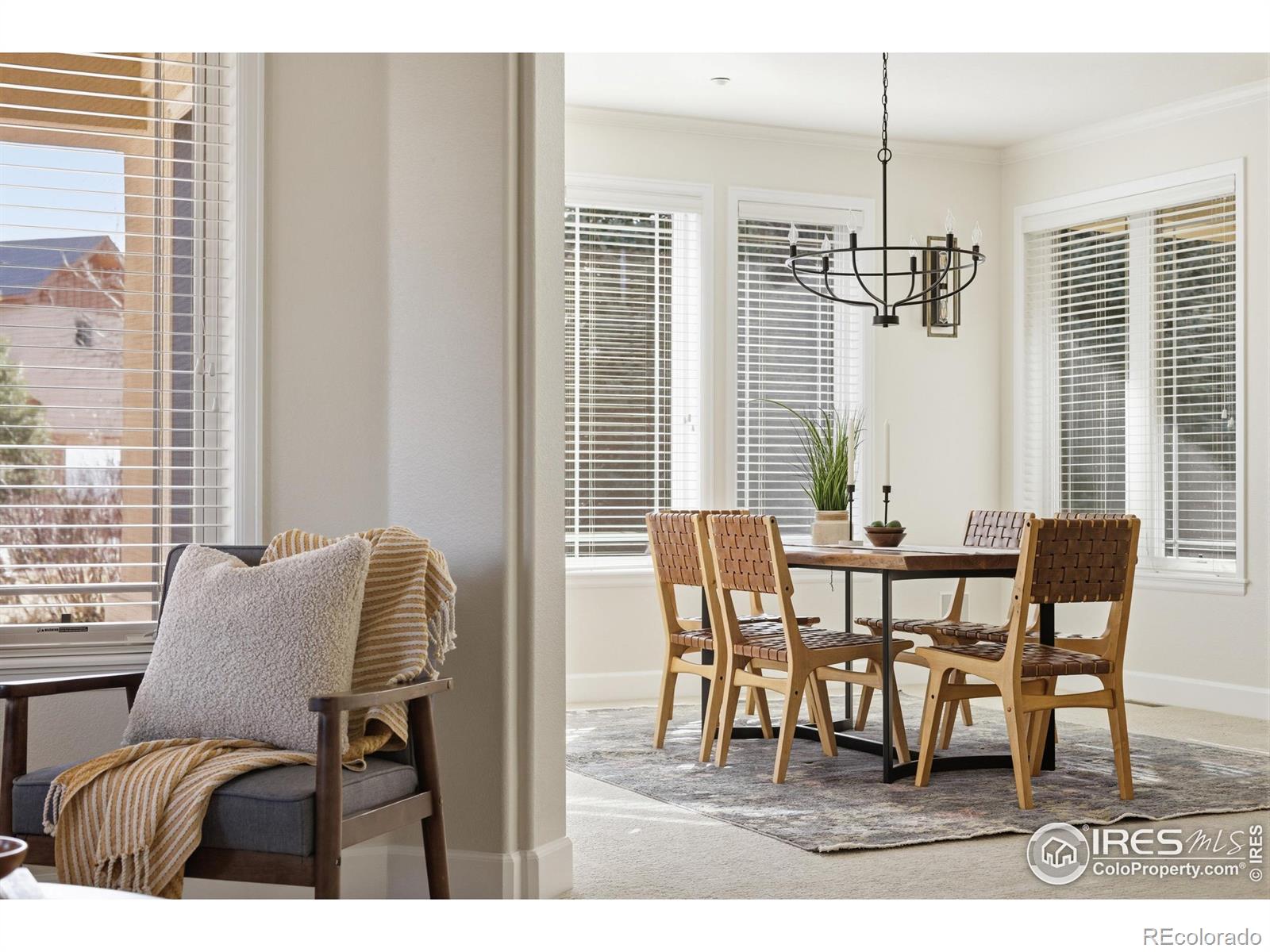 MLS Image #18 for 10443  sunlight drive,lafayette, Colorado