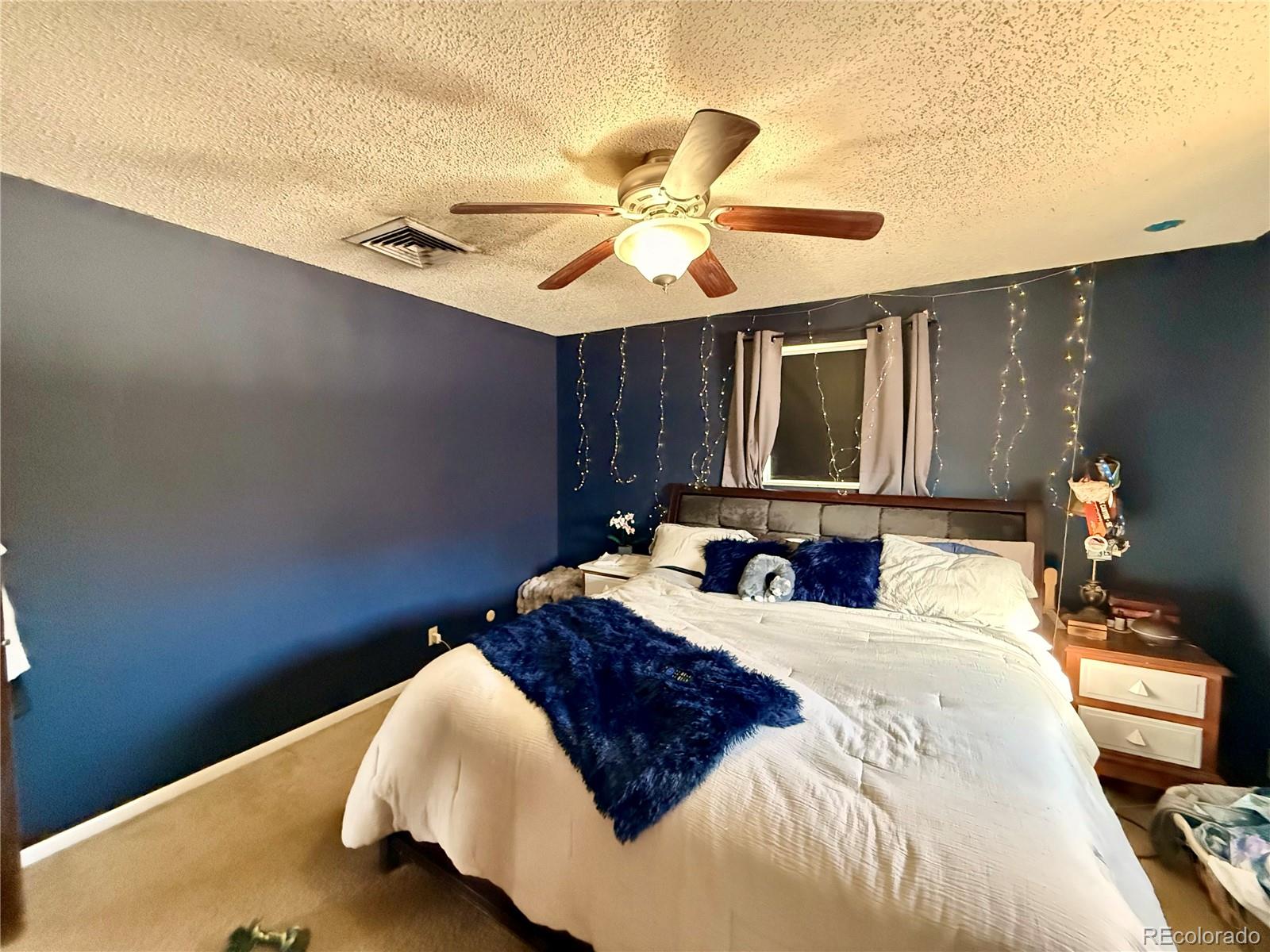 MLS Image #10 for 110  encino drive,pueblo, Colorado