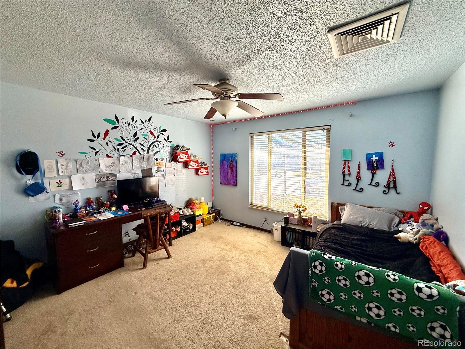 MLS Image #12 for 110  encino drive,pueblo, Colorado