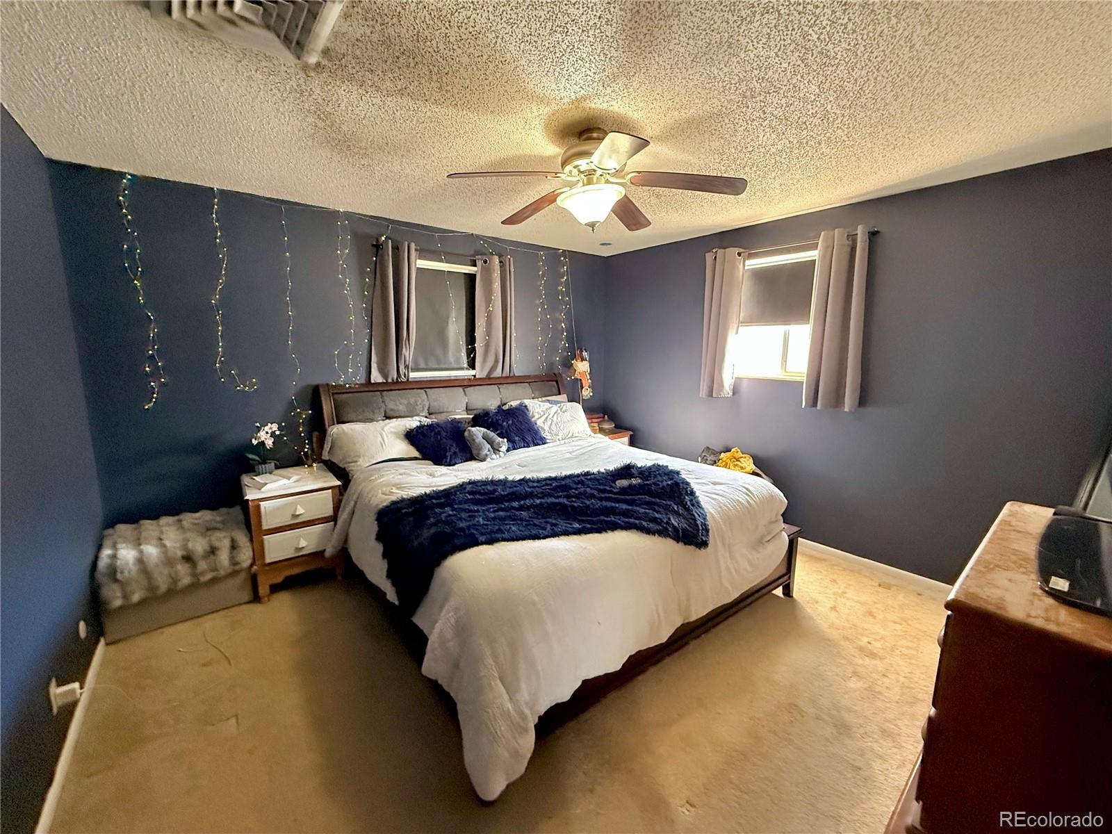 MLS Image #9 for 110  encino drive,pueblo, Colorado