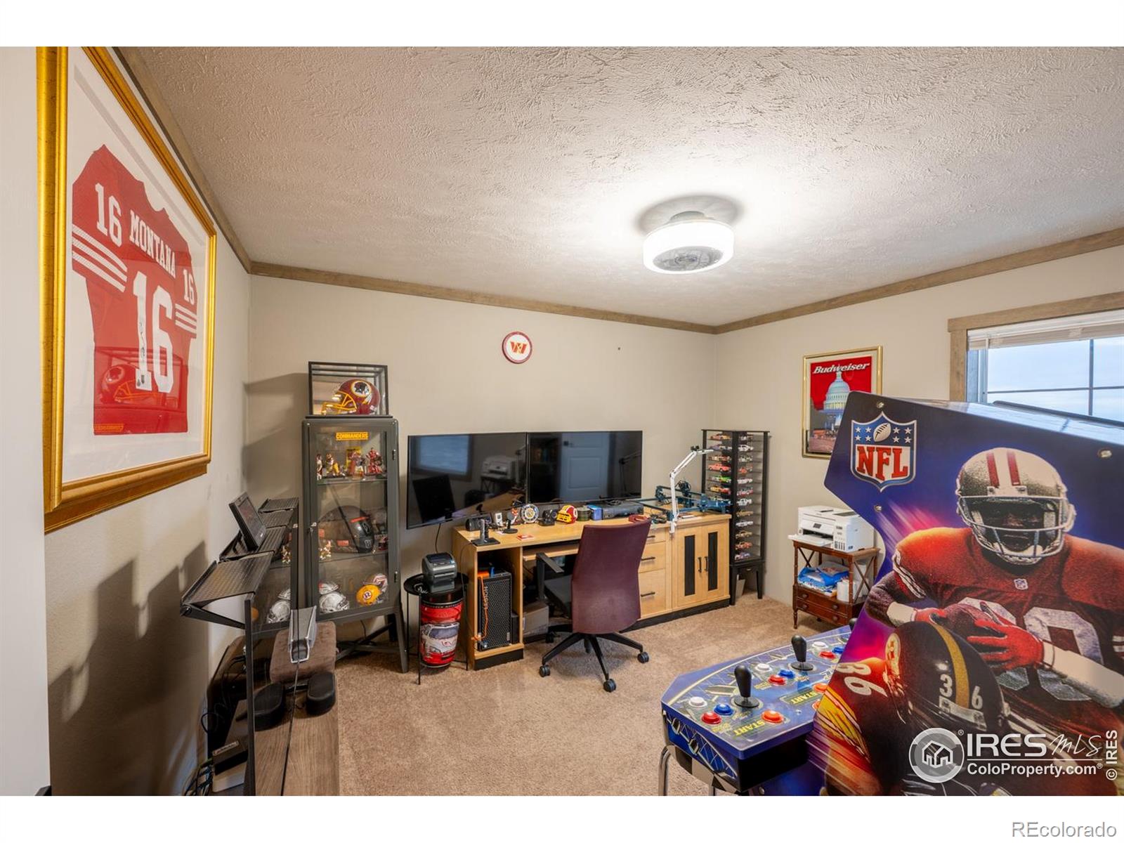 MLS Image #29 for 58736  county road 23 ,carr, Colorado