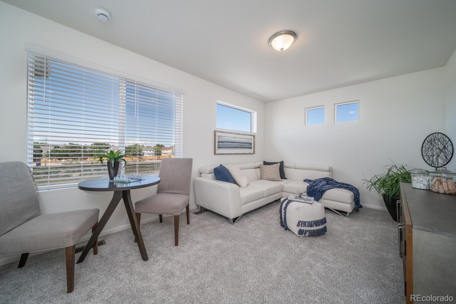 MLS Image #11 for 12633 e 101st drive,commerce city, Colorado