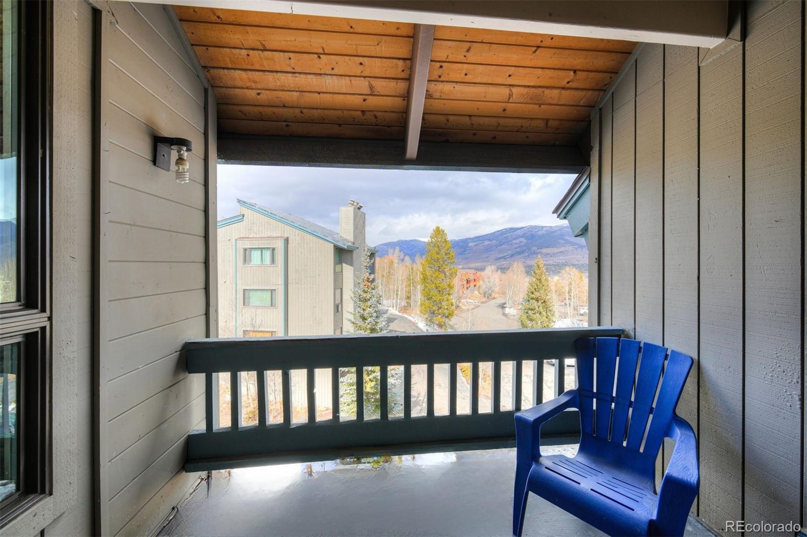 MLS Image #22 for 101  ryan gulch court,silverthorne, Colorado