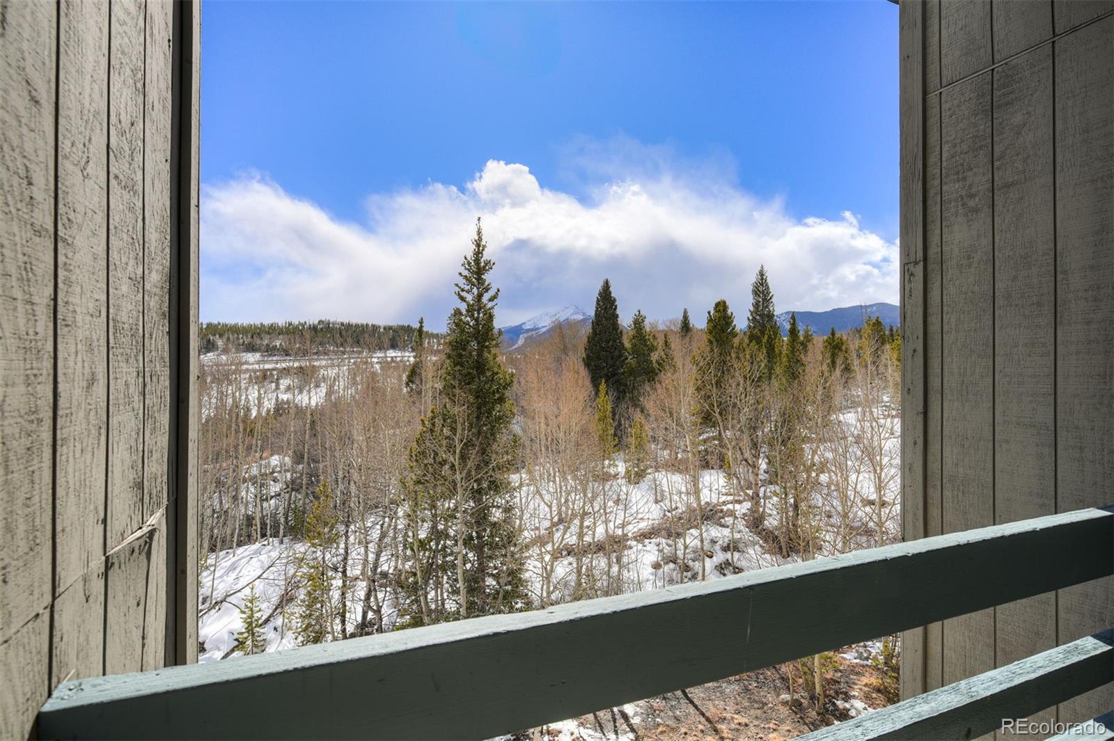 MLS Image #24 for 101  ryan gulch court,silverthorne, Colorado