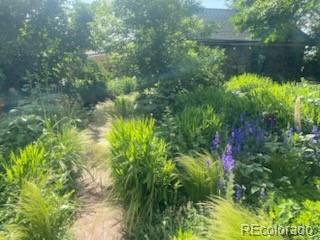 MLS Image #31 for 4047  madison street,denver, Colorado