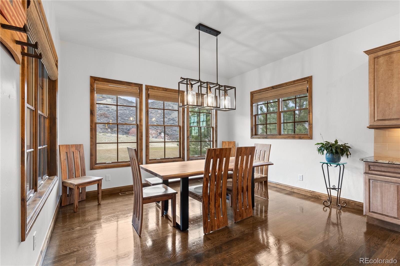 MLS Image #18 for 8079  galileo way,littleton, Colorado