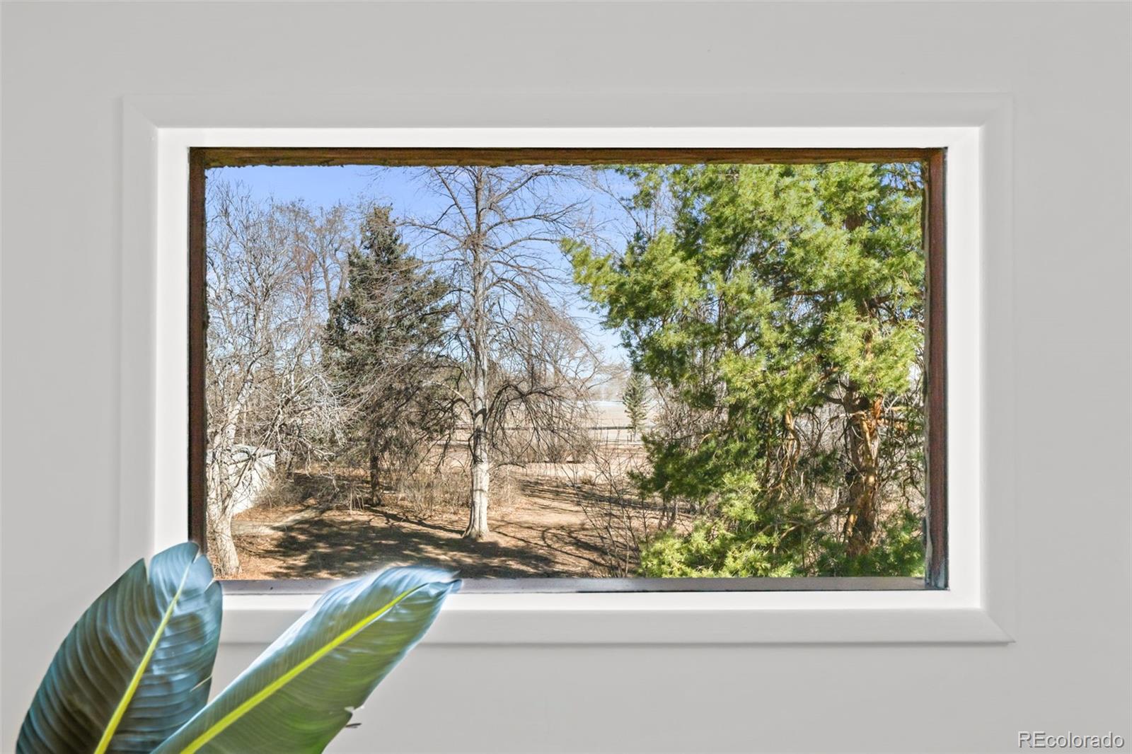 MLS Image #19 for 8075 w 32nd avenue,wheat ridge, Colorado