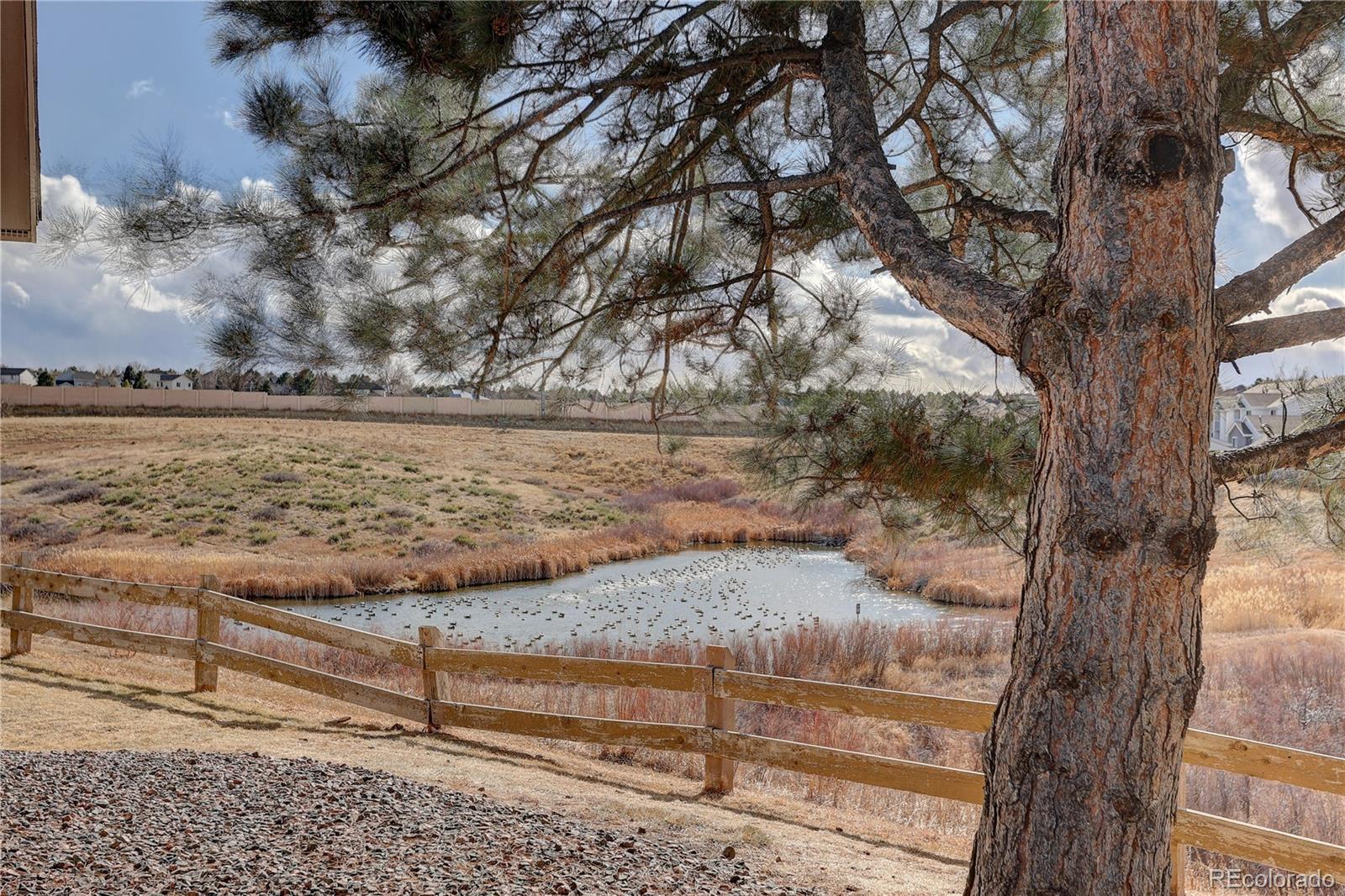MLS Image #37 for 3727  cactus creek court,highlands ranch, Colorado