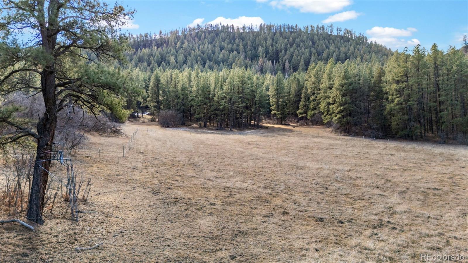 MLS Image #41 for 24800  us highway 160 ,bayfield, Colorado