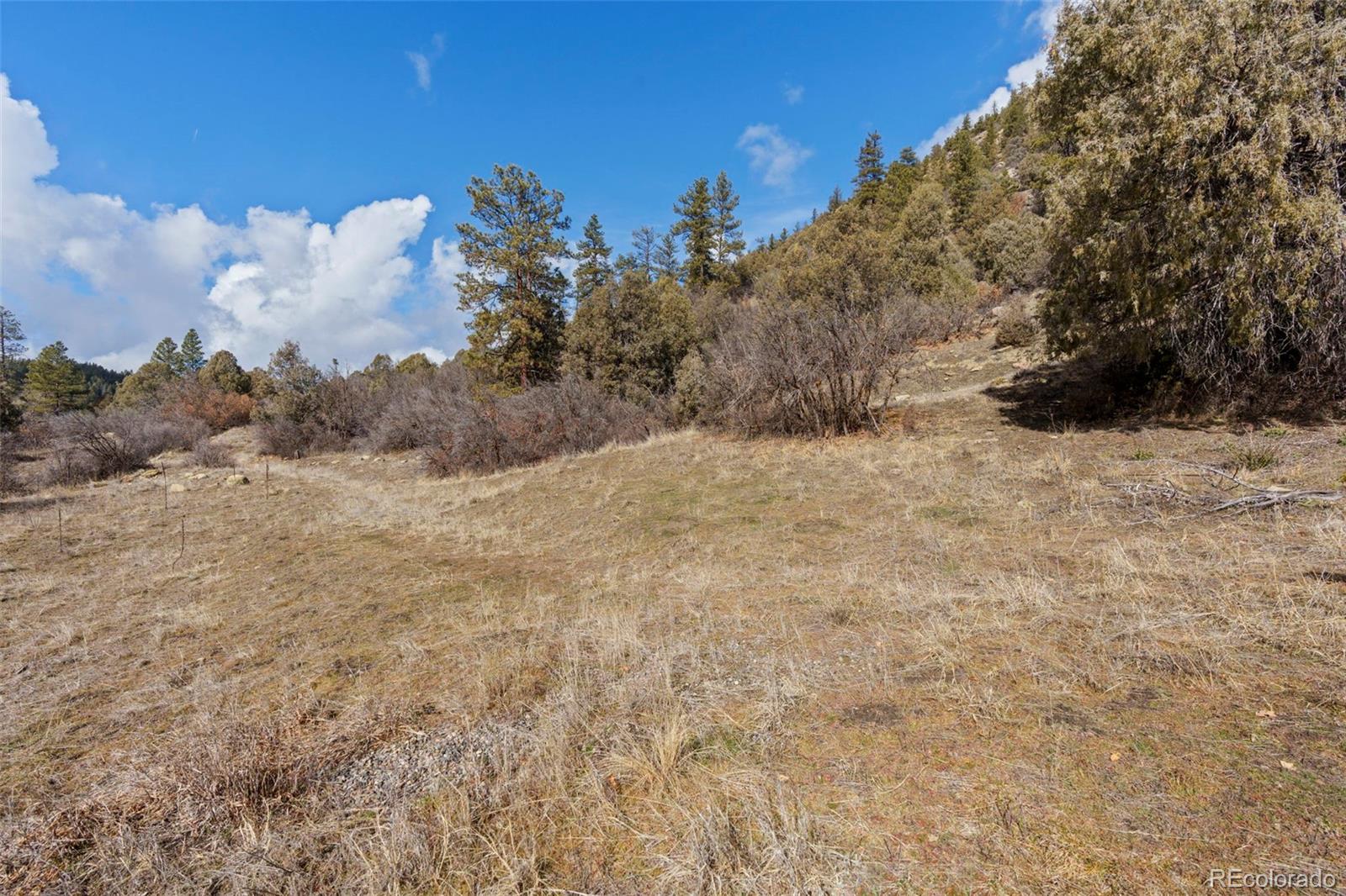 MLS Image #44 for 24800  us highway 160 ,bayfield, Colorado