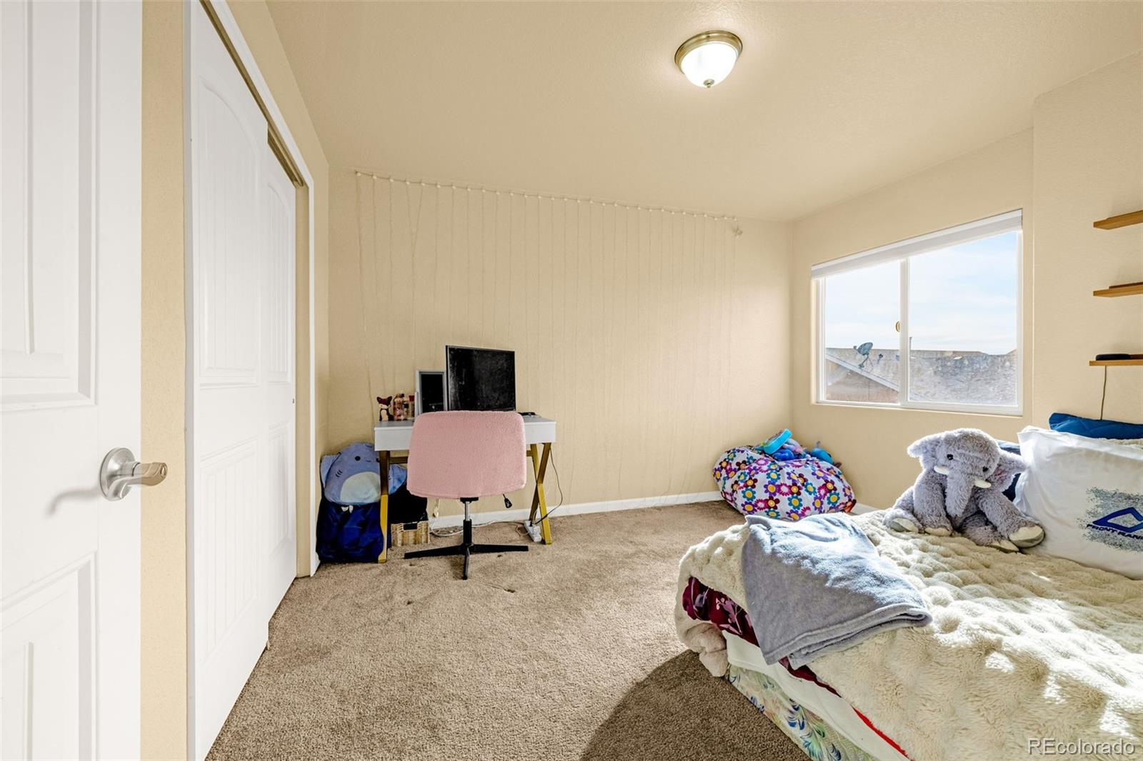 MLS Image #12 for 11670  farnese heights,peyton, Colorado