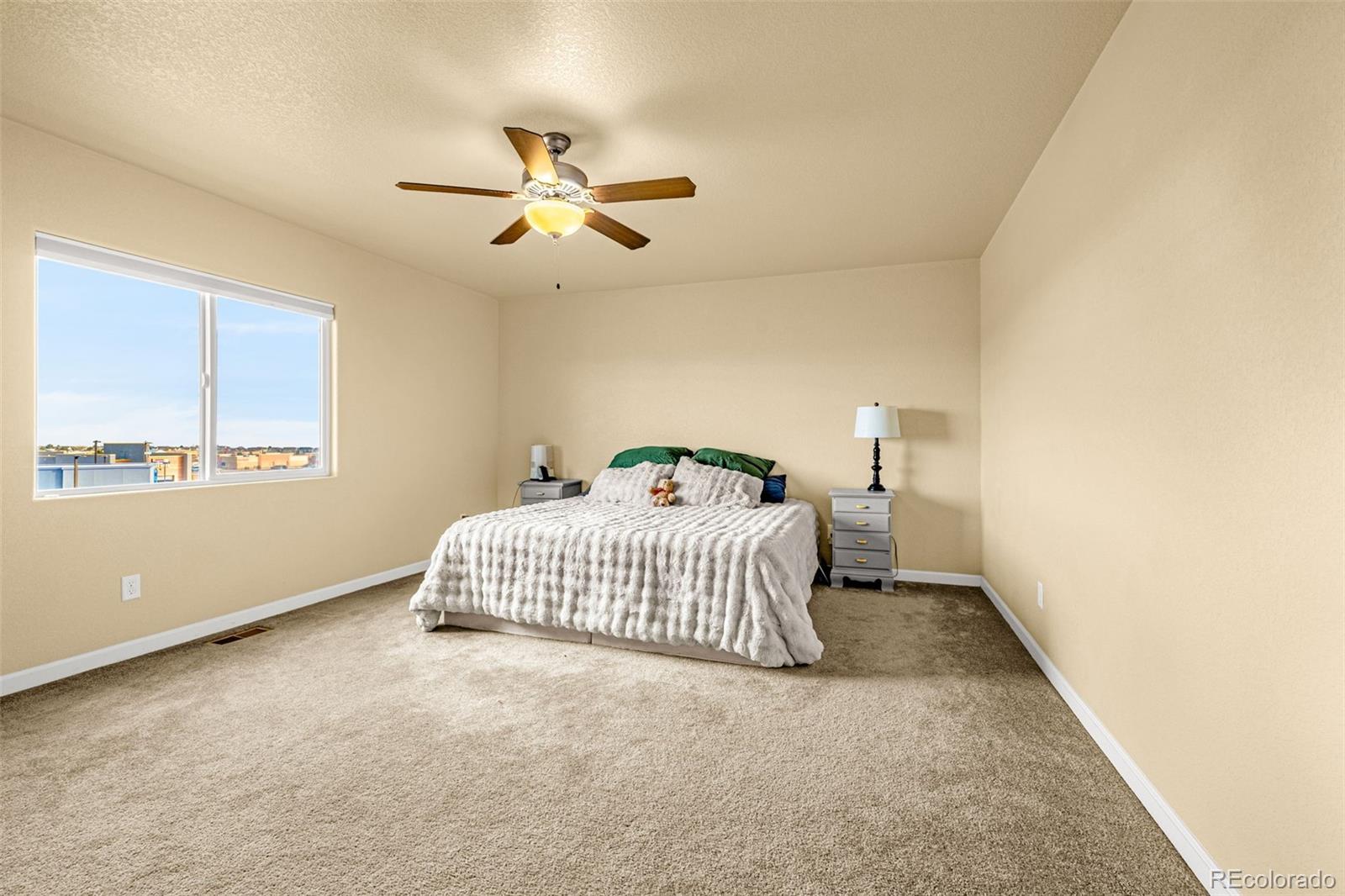 MLS Image #15 for 11670  farnese heights,peyton, Colorado