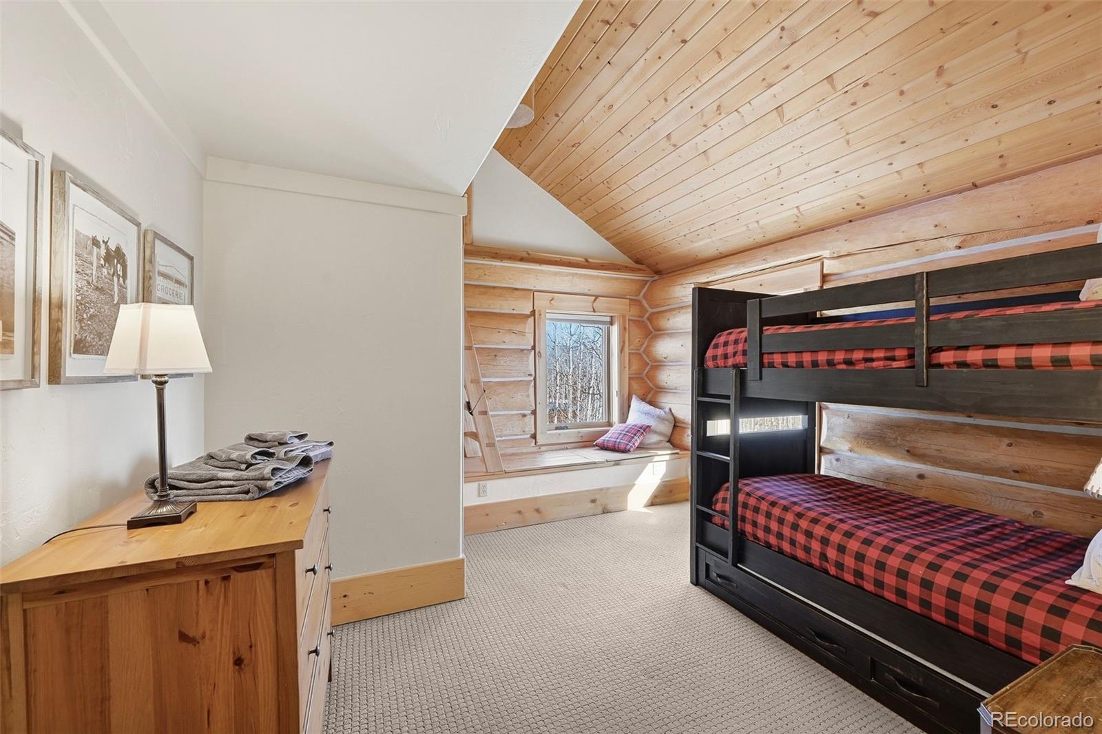 MLS Image #10 for 252  iron mountain road,fairplay, Colorado