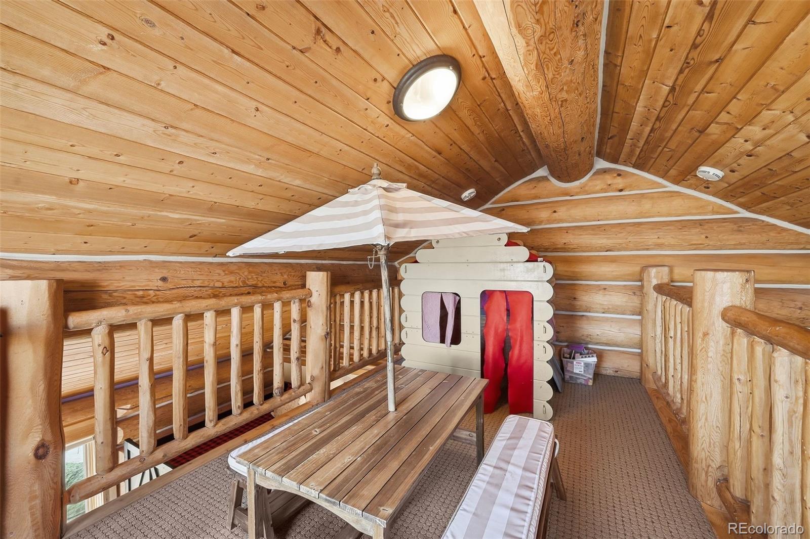 MLS Image #11 for 252  iron mountain road,fairplay, Colorado