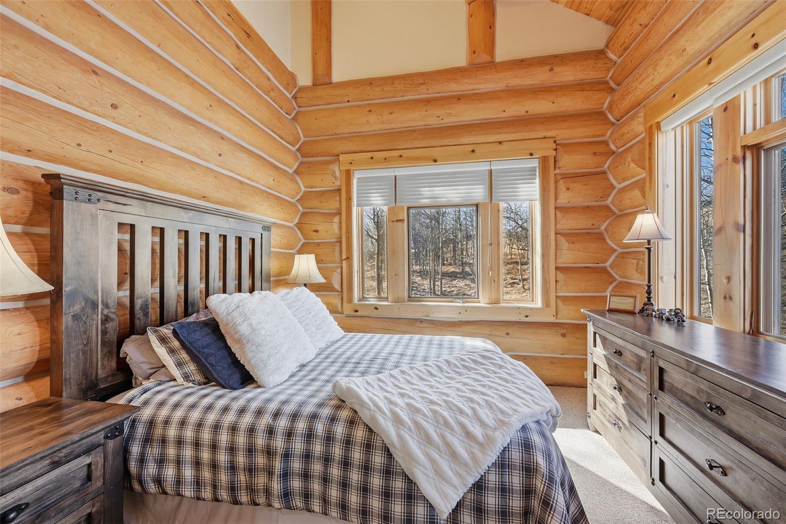 MLS Image #13 for 252  iron mountain road,fairplay, Colorado