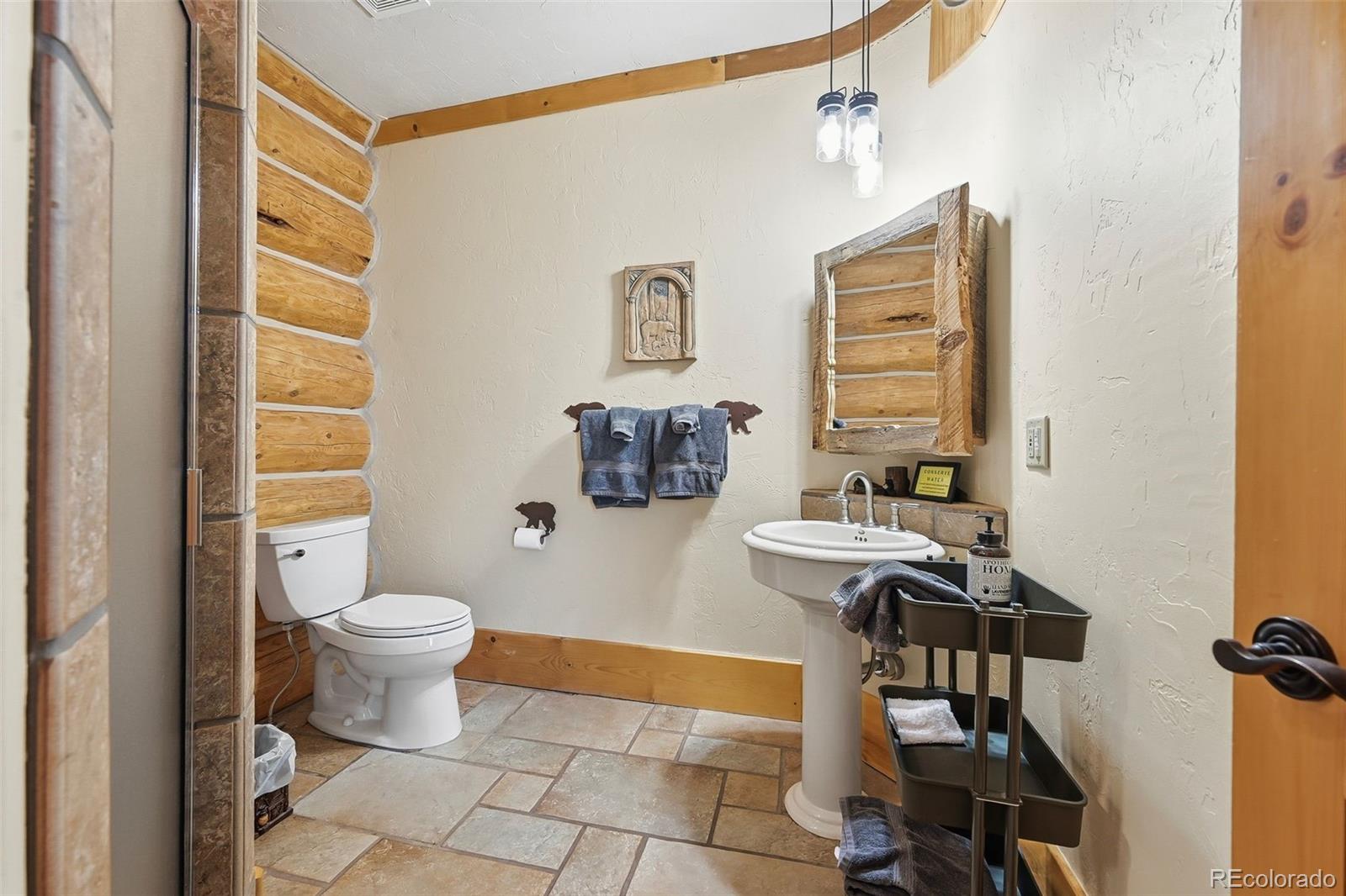 MLS Image #14 for 252  iron mountain road,fairplay, Colorado