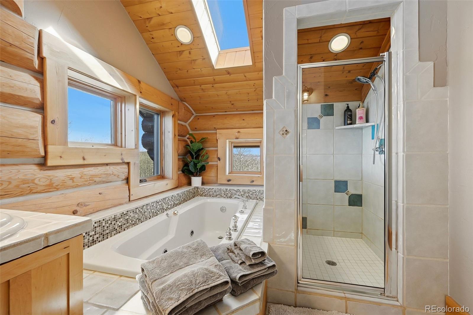 MLS Image #18 for 252  iron mountain road,fairplay, Colorado