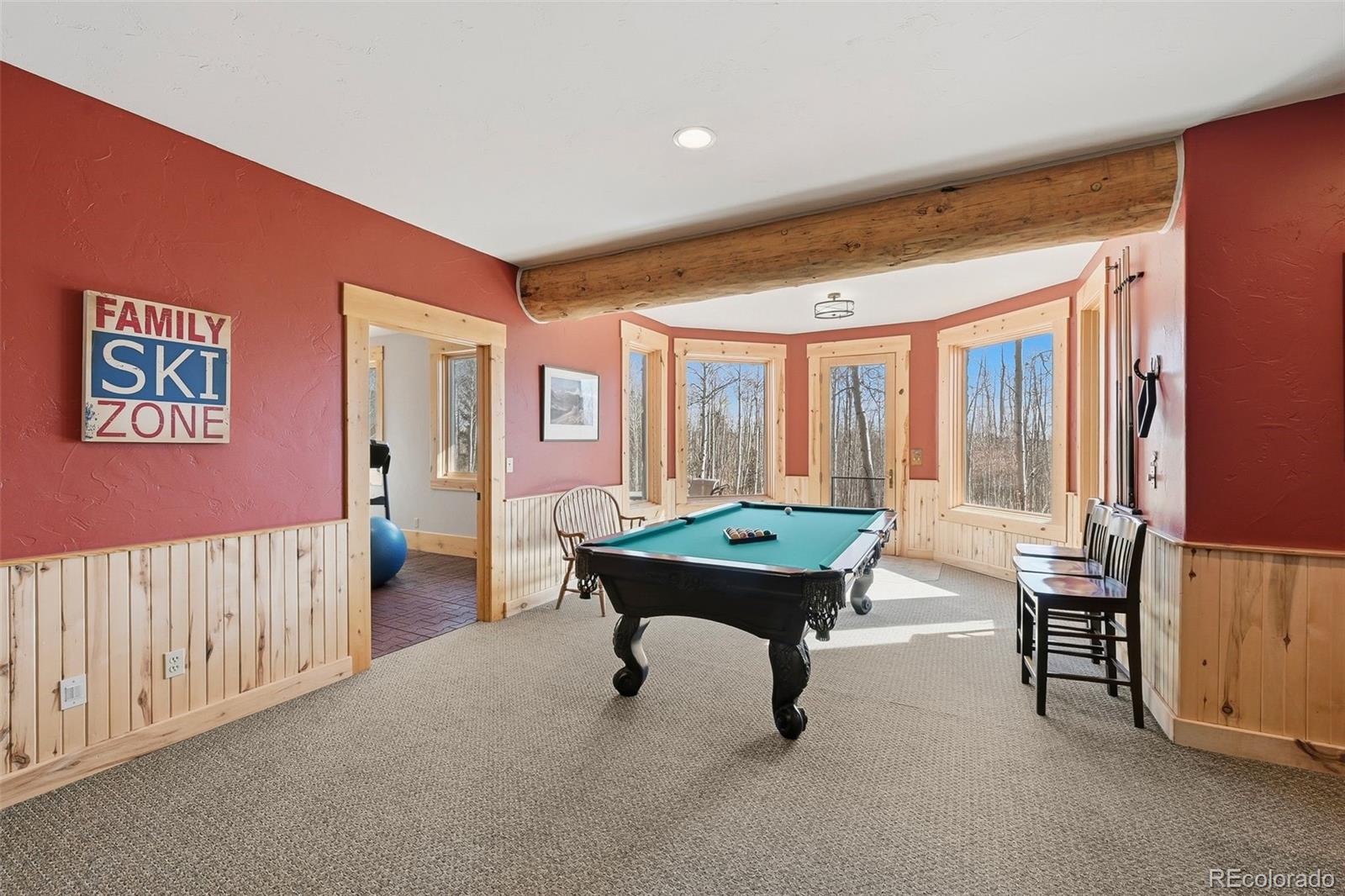 MLS Image #21 for 252  iron mountain road,fairplay, Colorado