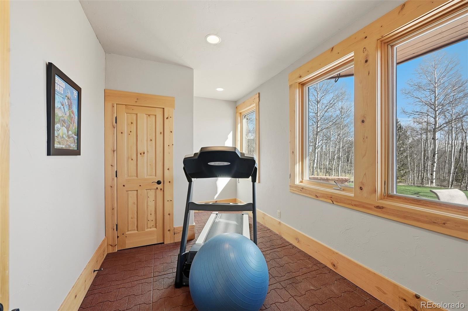 MLS Image #22 for 252  iron mountain road,fairplay, Colorado
