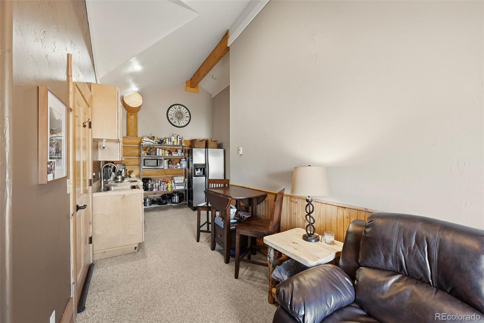 MLS Image #28 for 252  iron mountain road,fairplay, Colorado