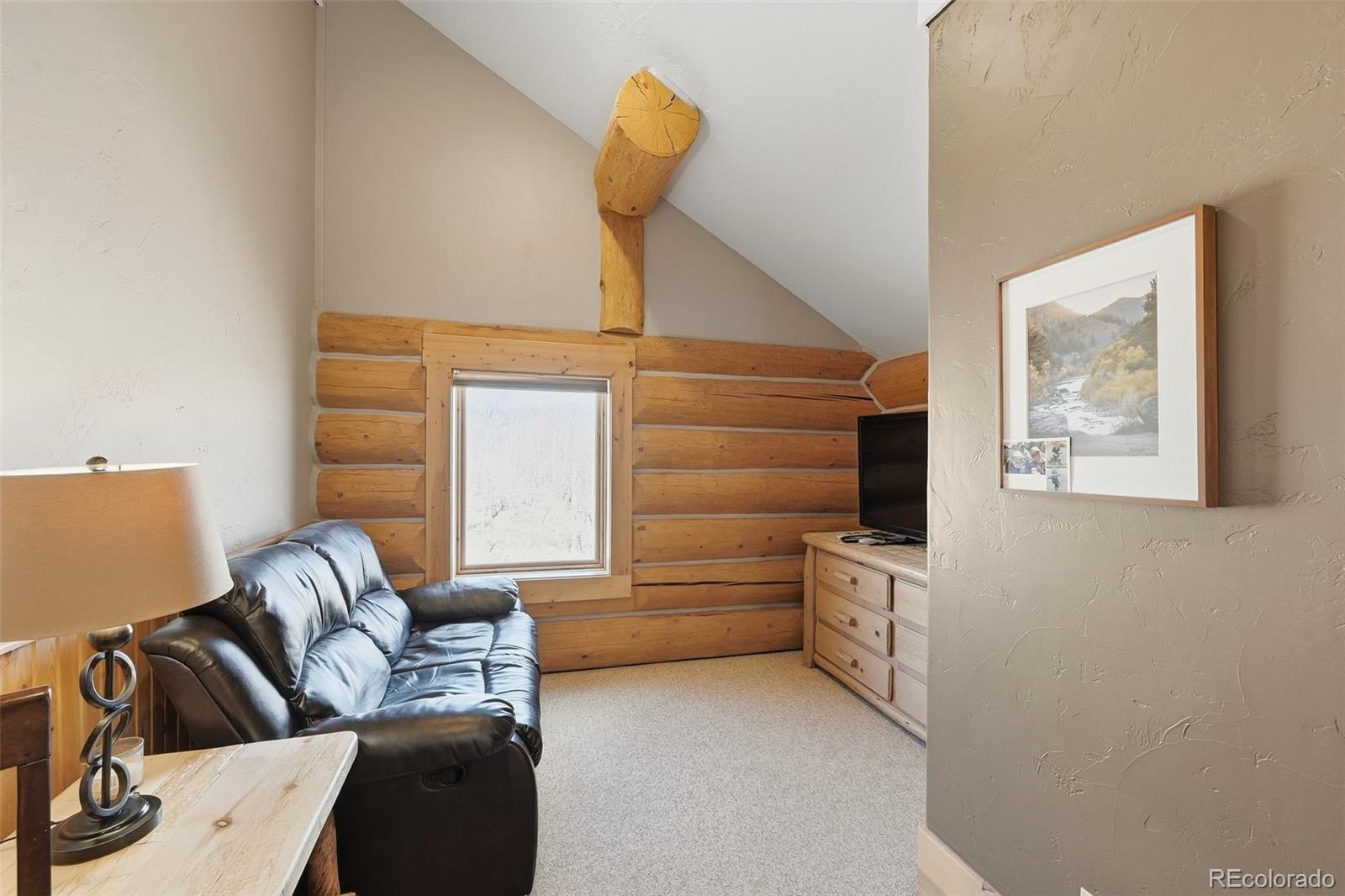MLS Image #29 for 252  iron mountain road,fairplay, Colorado