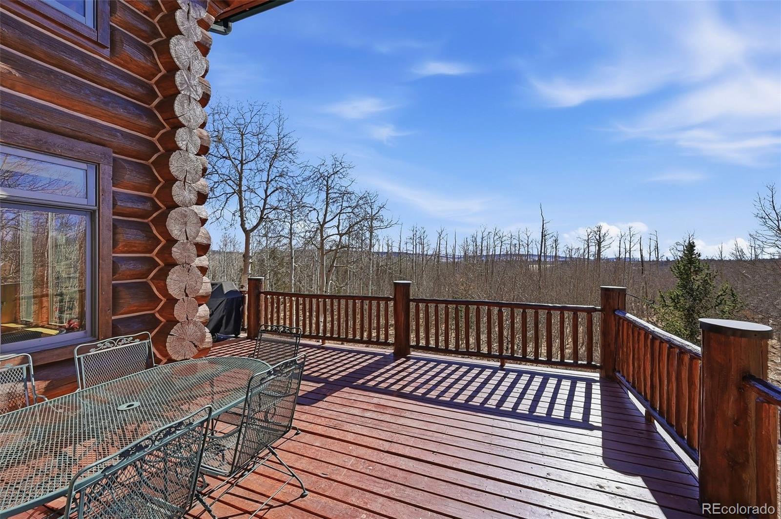 MLS Image #33 for 252  iron mountain road,fairplay, Colorado