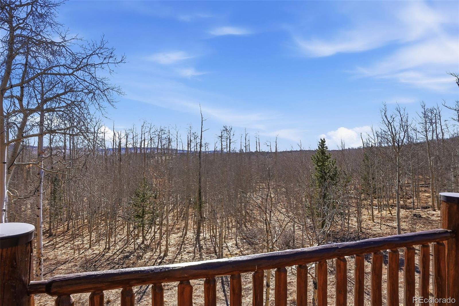 MLS Image #35 for 252  iron mountain road,fairplay, Colorado