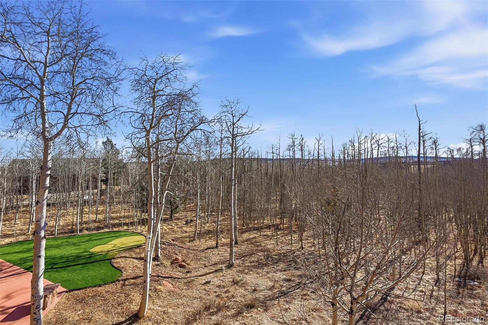 MLS Image #36 for 252  iron mountain road,fairplay, Colorado