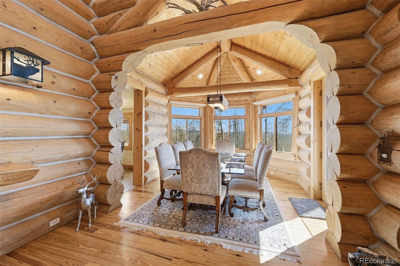 MLS Image #4 for 252  iron mountain road,fairplay, Colorado