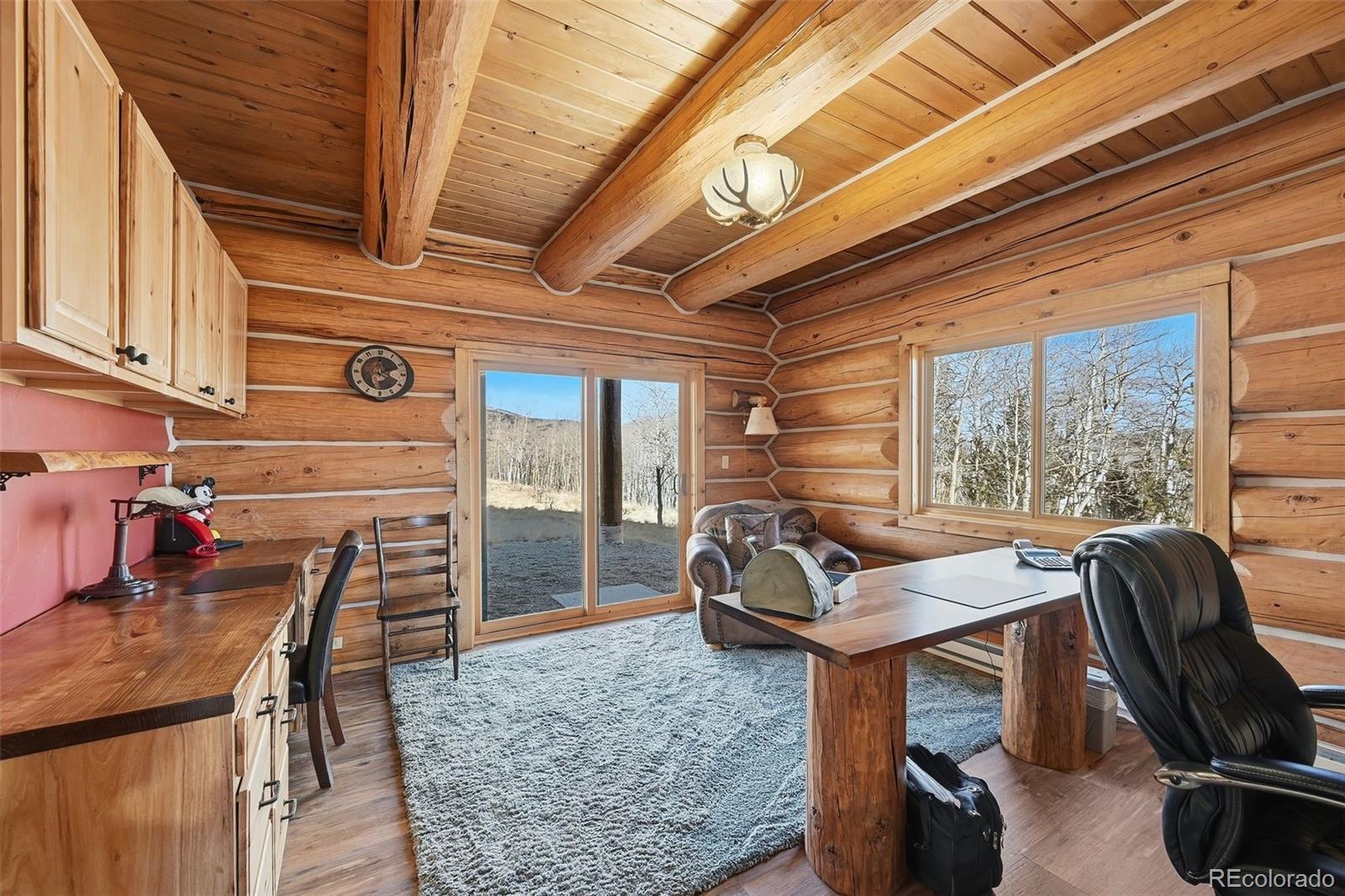 MLS Image #41 for 252  iron mountain road,fairplay, Colorado