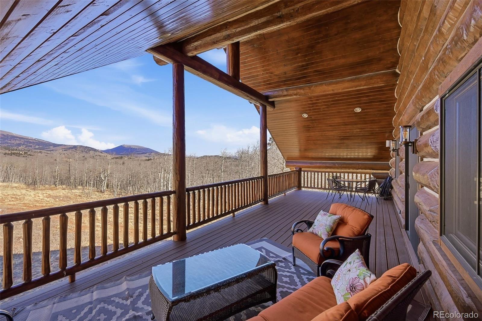 MLS Image #46 for 252  iron mountain road,fairplay, Colorado