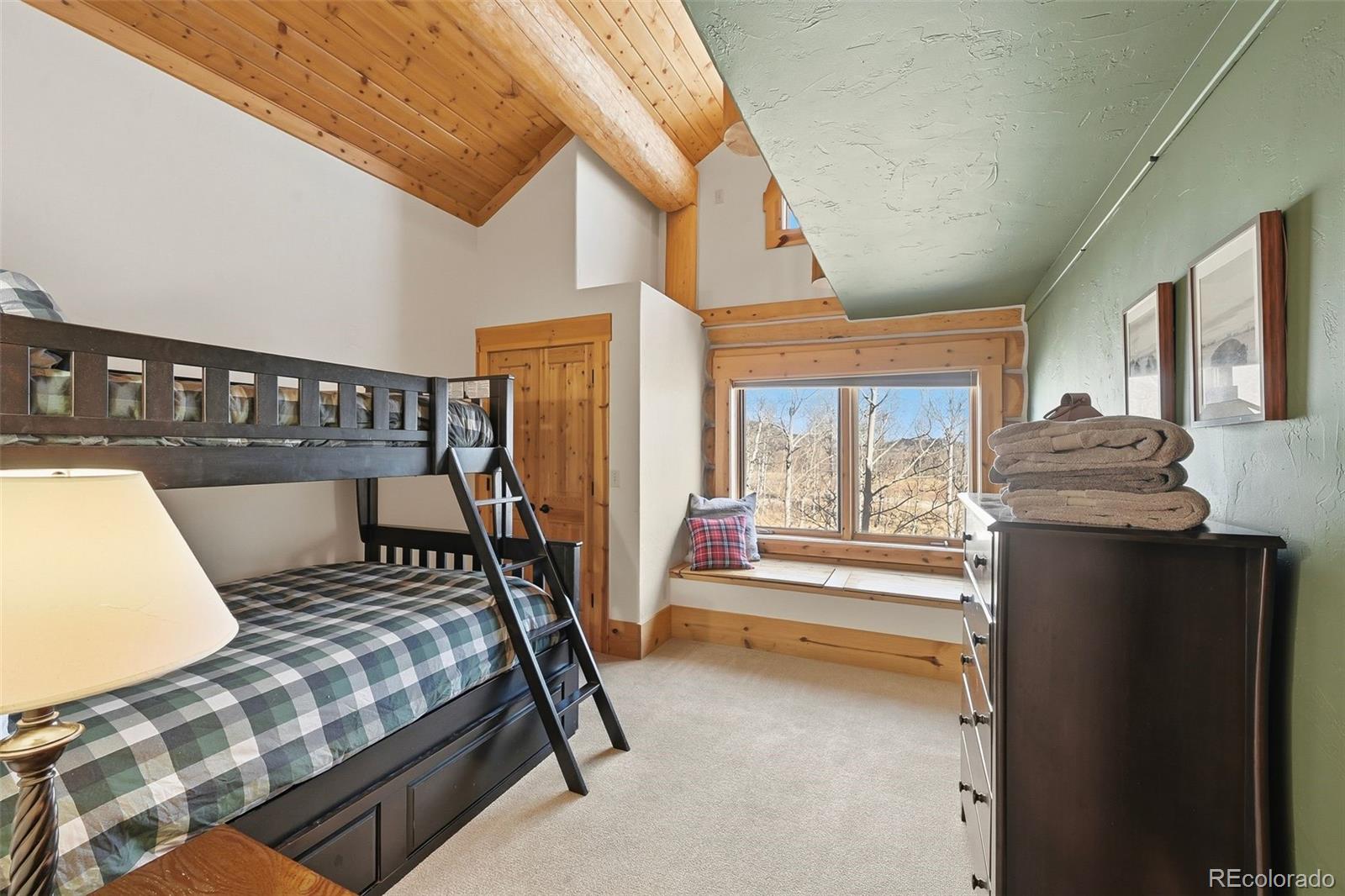 MLS Image #9 for 252  iron mountain road,fairplay, Colorado