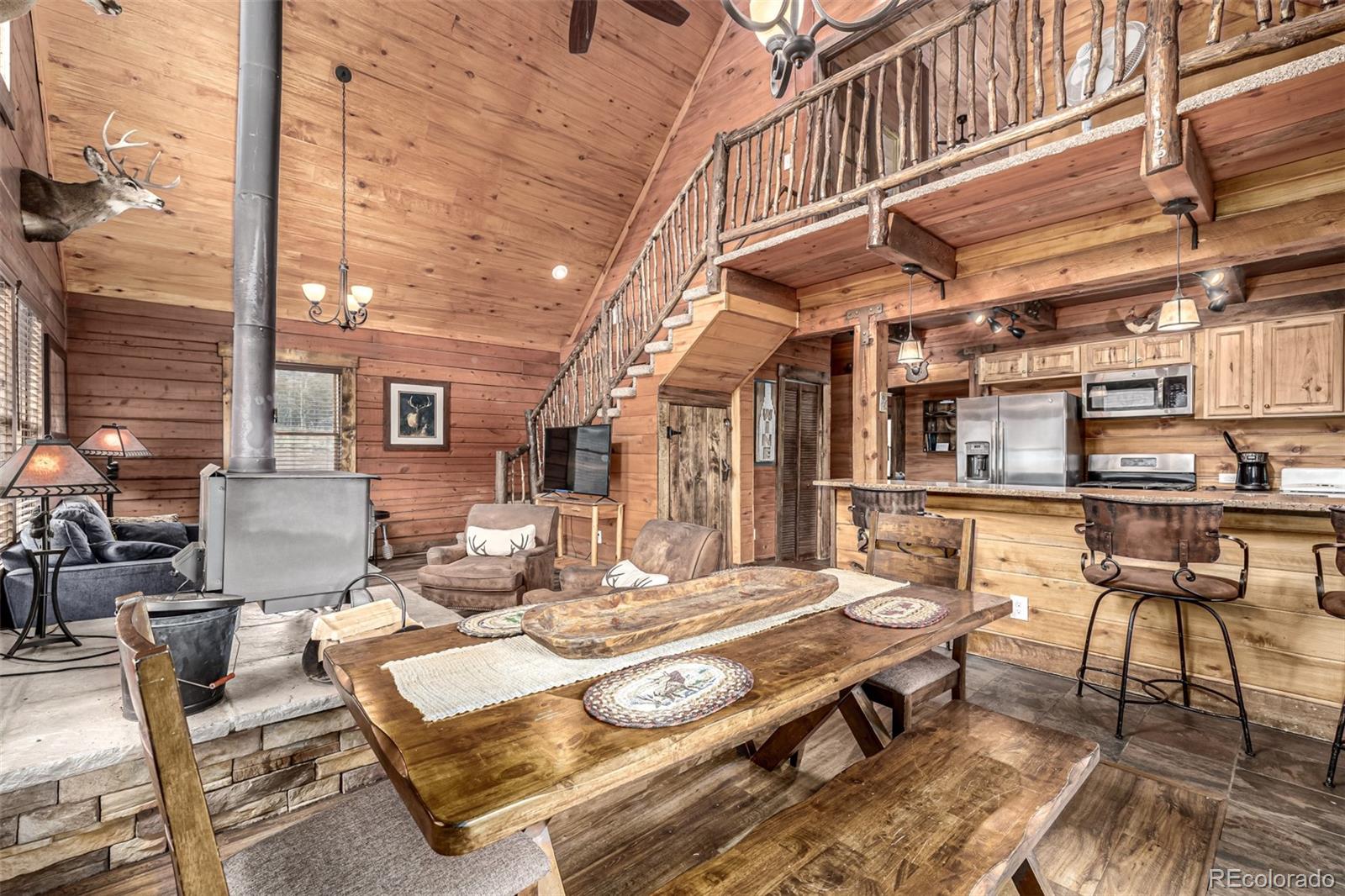 MLS Image #11 for 116  dakota path,lake george, Colorado