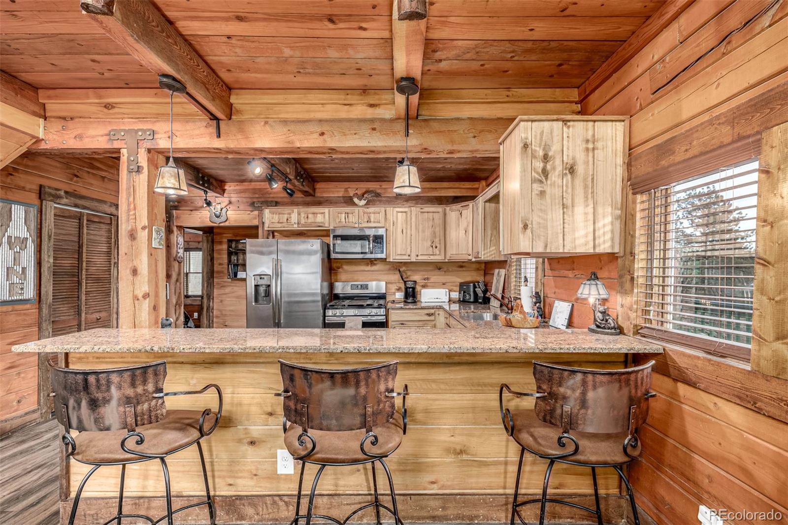 MLS Image #13 for 116  dakota path,lake george, Colorado