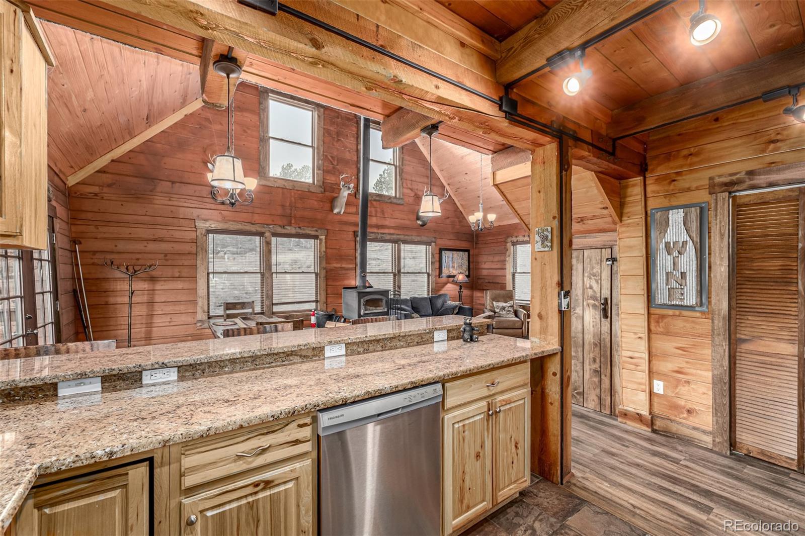 MLS Image #18 for 116  dakota path,lake george, Colorado