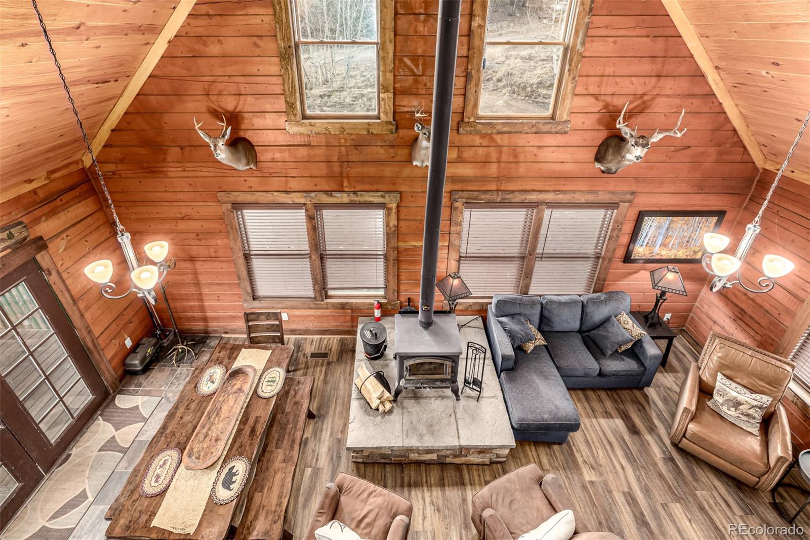 MLS Image #19 for 116  dakota path,lake george, Colorado
