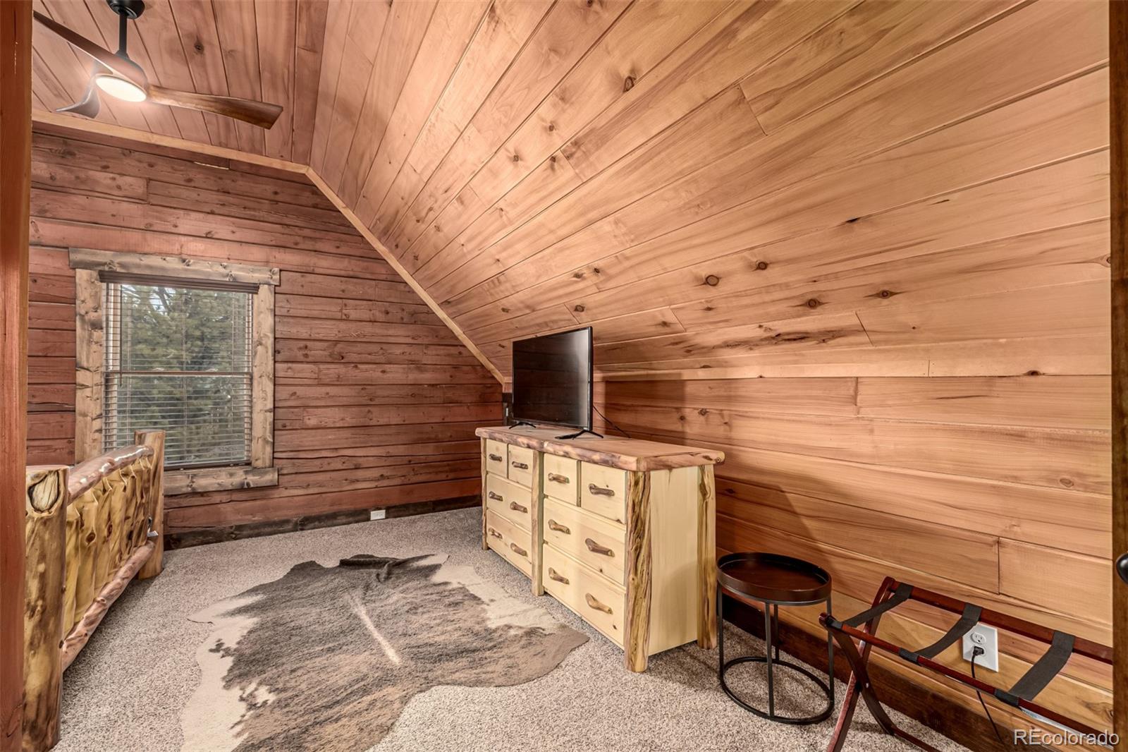 MLS Image #20 for 116  dakota path,lake george, Colorado
