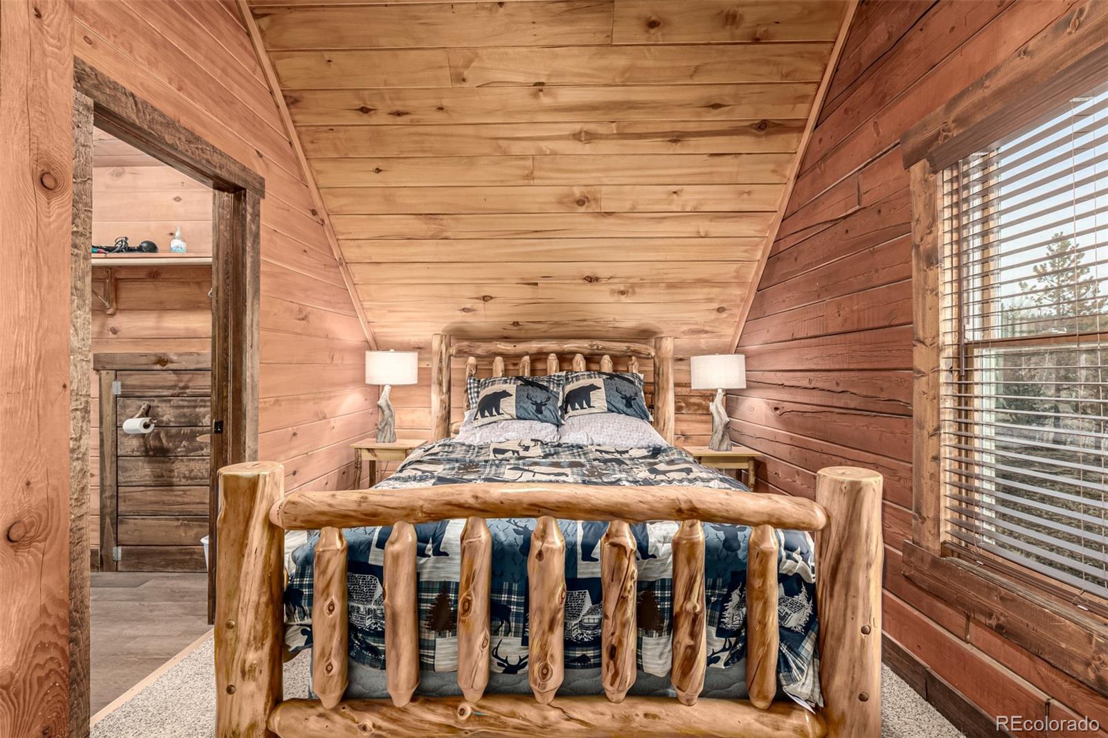 MLS Image #21 for 116  dakota path,lake george, Colorado
