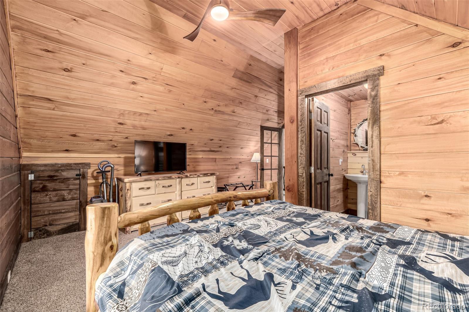 MLS Image #23 for 116  dakota path,lake george, Colorado