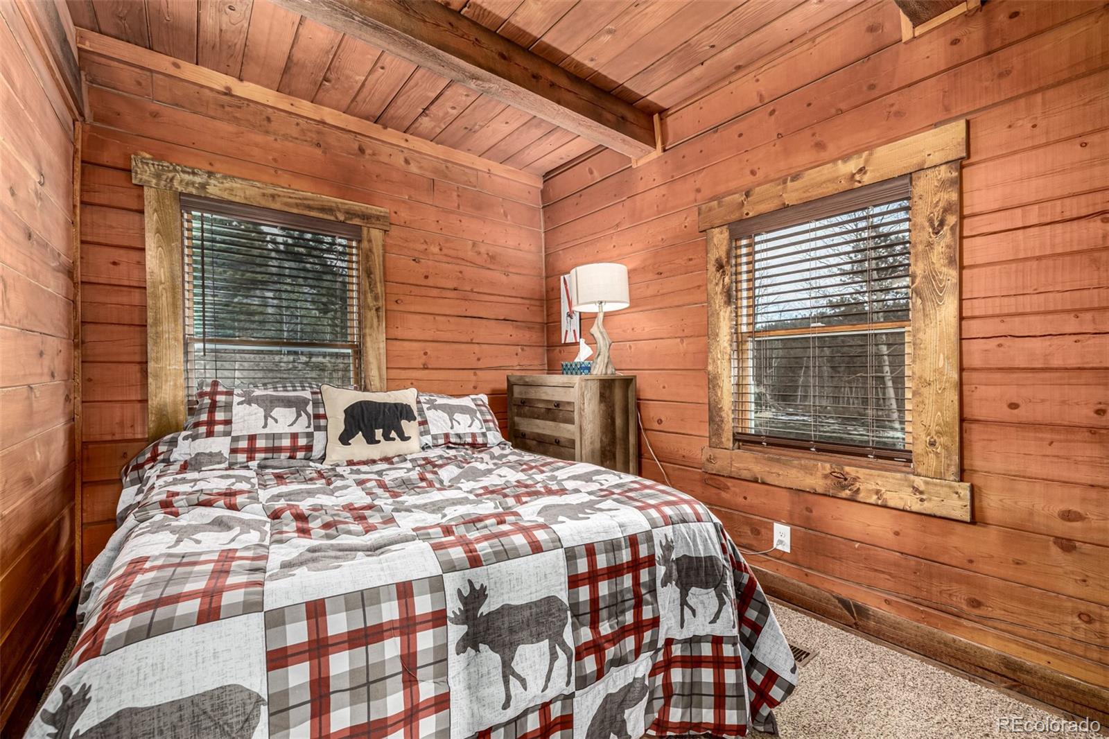 MLS Image #25 for 116  dakota path,lake george, Colorado