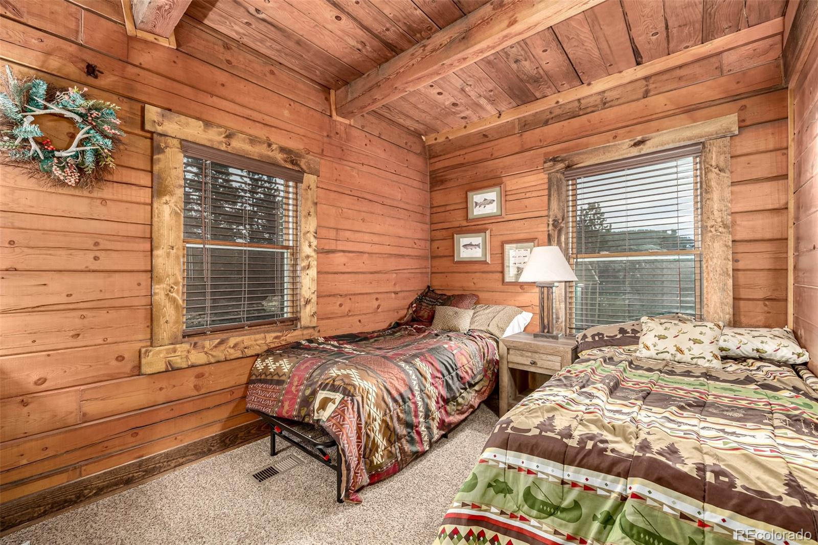 MLS Image #27 for 116  dakota path,lake george, Colorado