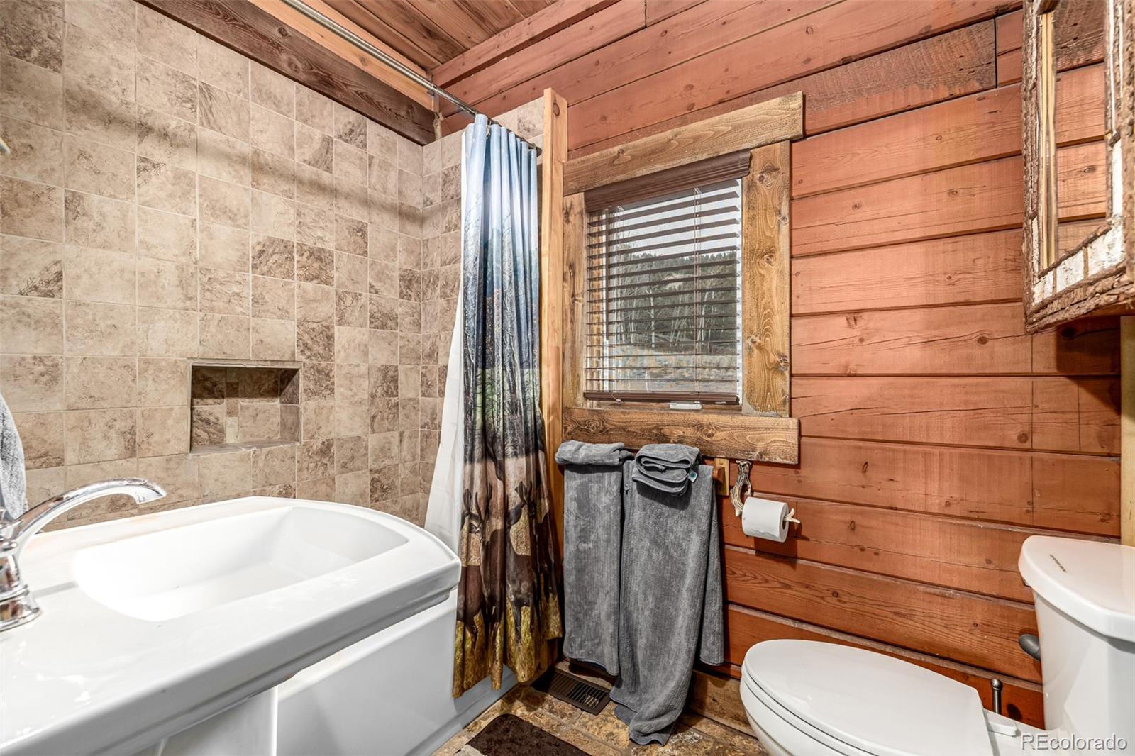 MLS Image #29 for 116  dakota path,lake george, Colorado
